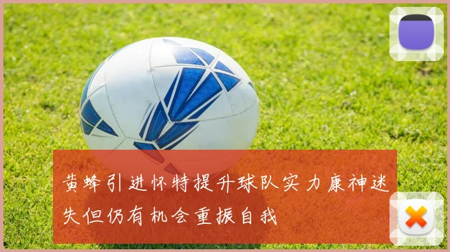 黄蜂引进怀特提升球队实力康神迷失但仍有机会重振自我