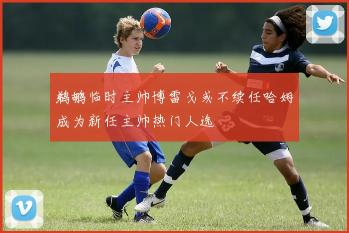 鹈鹕临时主帅博雷戈或不续任哈姆成为新任主帅热门人选