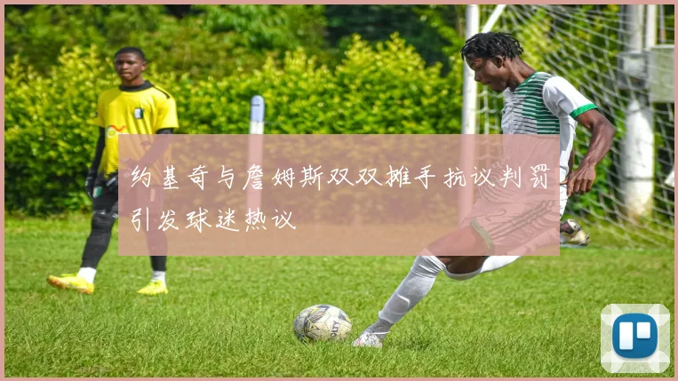 约基奇与詹姆斯双双摊手抗议判罚引发球迷热议