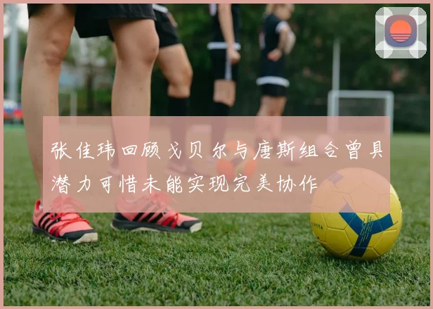 张佳玮回顾戈贝尔与唐斯组合曾具潜力可惜未能实现完美协作