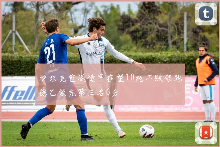 沙尔克重返德甲在望10轮不败领跑德乙领先第三名6分