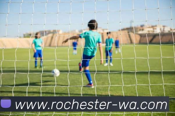 开云·体育-中国一站式服务平台平台生态图