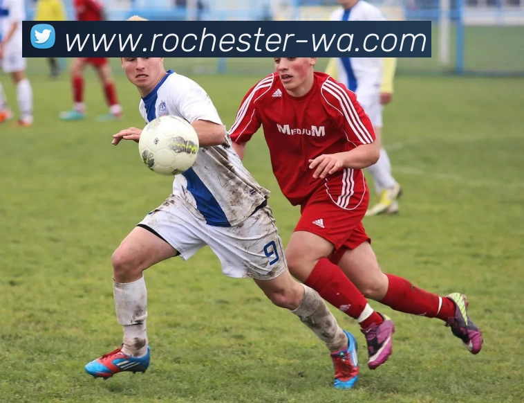 开云·体育-中国一站式服务平台APP 封面图